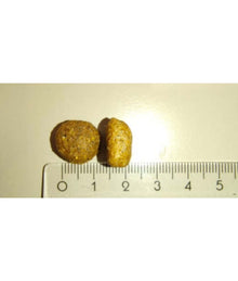 Meglium high quality dog food kibble shown beside a ruler for size comparison