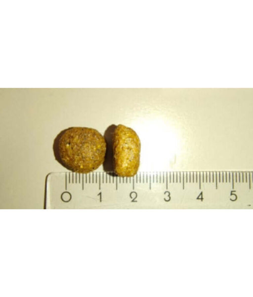 Meglium high quality dog food kibble shown beside a ruler for size comparison