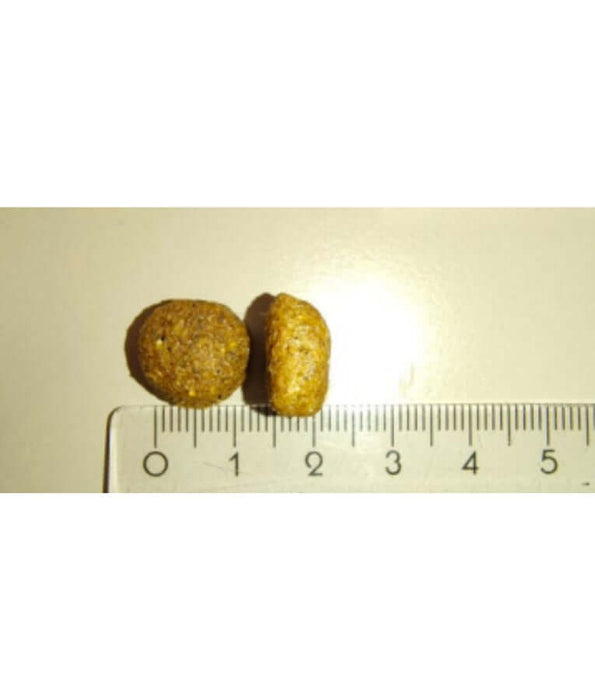 Meglium high quality dog food kibble shown beside a ruler for size comparison