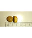 Meglium high quality dog food kibble shown beside a ruler for size comparison