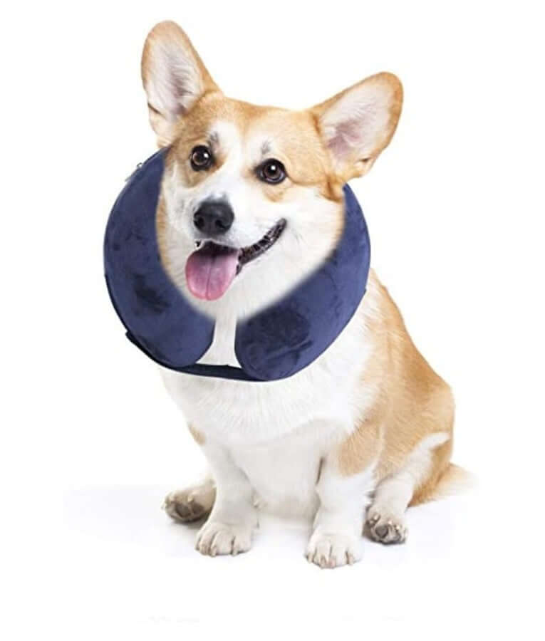 Pawise - Inflatable Protective Collar, Soft Plush Adjustable Recovery Collar, For Dogs & Cats - S, M, L
