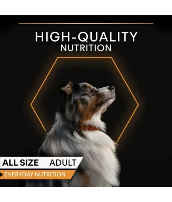 Pro Plan - Everyday Nutrition Turkey in Jelly, Adult, Wet Dog Food
