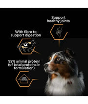 Pro Plan Everyday Nutrition Turkey in Jelly dog food highlights, including turkey dog food benefits for digestion and joints.
