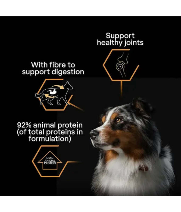 Pro Plan Everyday Nutrition Turkey in Jelly dog food highlights, including turkey dog food benefits for digestion and joints.