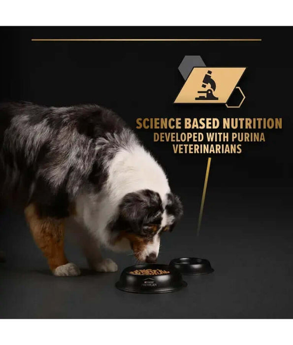 Pro Plan - Everyday Nutrition Turkey in Jelly, Adult, Wet Dog Food
