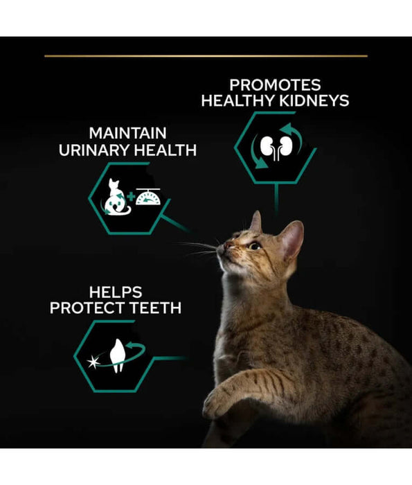 Pro Plan - Renal Plus With Salmon, Sterilised Adult Dry Cat Food