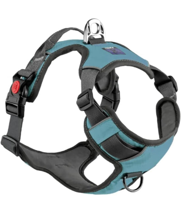 Golden Panda - T8 Comfortable Dog Harness, Petrol Blue, Adjustable No-Pull Chest Harness with Reflective Trim - M, L