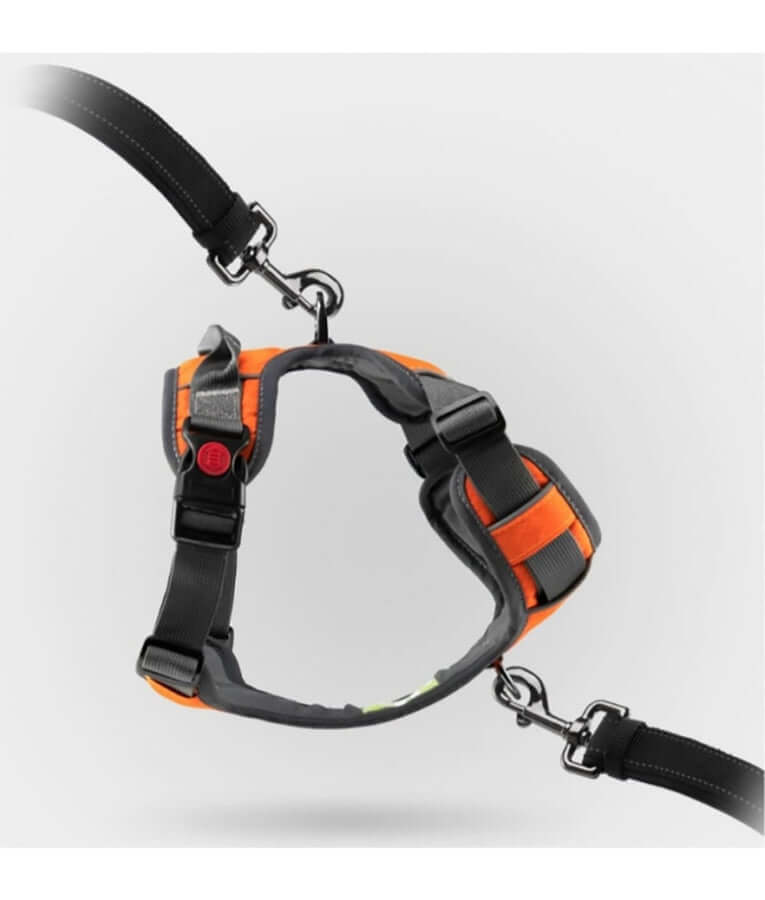 Golden Panda - T8 Comfortable Dog Harness, Petrol Blue, Adjustable No-Pull Chest Harness with Reflective Trim - M, L