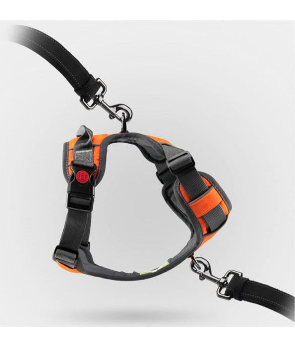 Golden Panda - T8 Comfortable Dog Harness, Petrol Blue, Adjustable No-Pull Chest Harness with Reflective Trim - M, L
