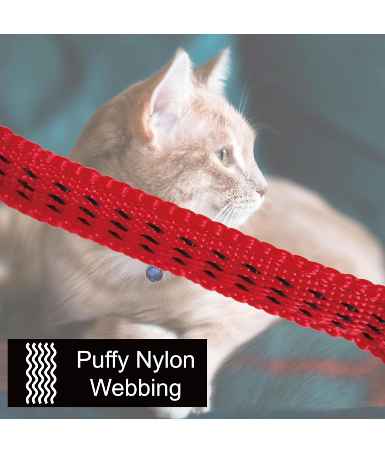 Doco - Signature Cat Collar Lime