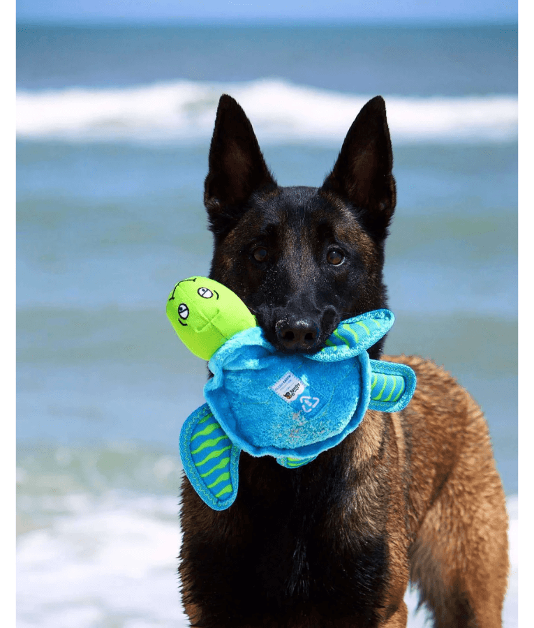 Spunky Pup - Turtle Clean Earth Plush Textured, Recycled Materials, Sustainable Floating Squeaky Dog Toy - Small