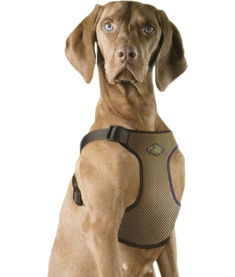 Europet Bernina - D&D All Season Dog Harness, Bronze, Cooling & Warming Therapeutic Harness - L, XL