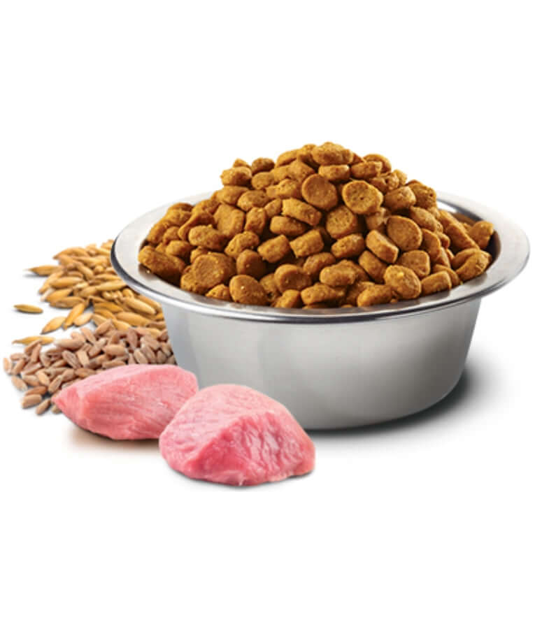 premium cat food in a bowl with lamb chunks, spelt, and oats for ideal weight management.