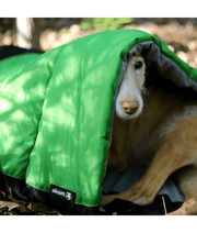 Alcott - Doggy Sleeping Bag