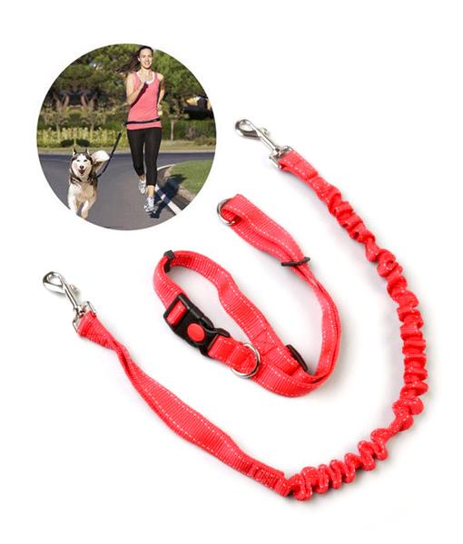 3-Piece Running Dog Leash & Collar Alcott