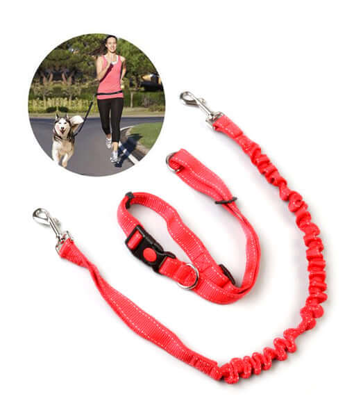 3-Piece Running Dog Leash & Collar