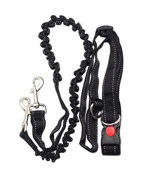 3-Piece Running Dog Leash & Collar