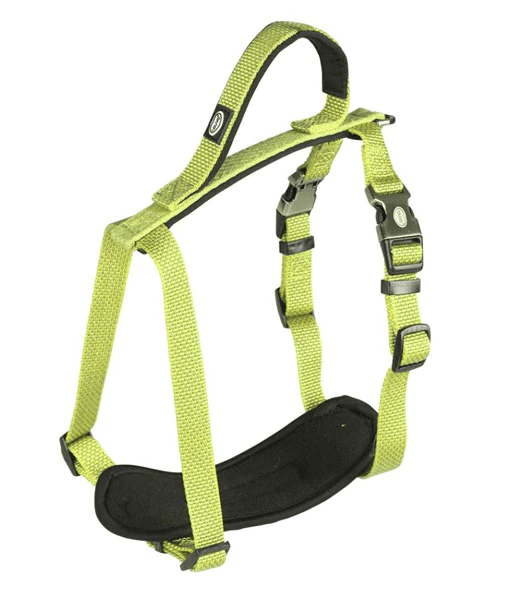 Duvo - EXPLOR NORTH Dog Harness - Neon Yellow Duvo