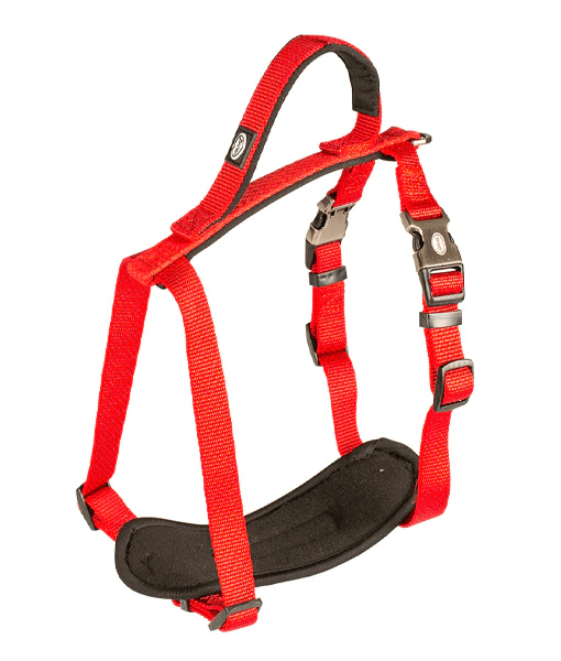 Duvo - EXPLOR NORTH Dog Harness - Red Duvo