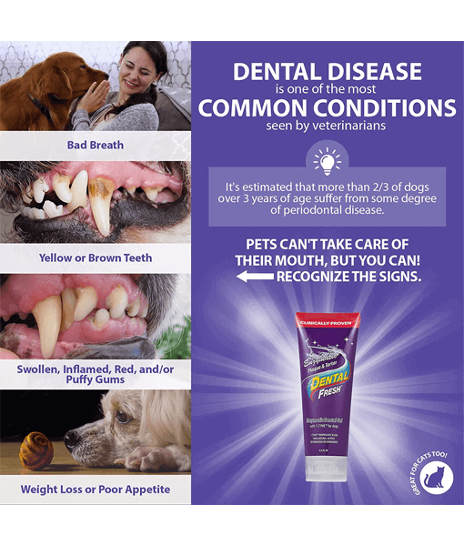 Dental Fresh Enzymatic Gel Triflex Toothbrush Kit for Dogs