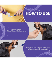Synergy Labs - Dental Fresh, Enzymatic Gel Triflex Toothbrush Kit for Dogs - 6 Benefits In One