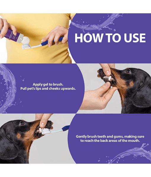 Synergy Labs - Dental Fresh, Enzymatic Gel Triflex Toothbrush Kit for Dogs - 6 Benefits In One