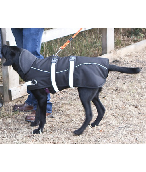 Animate Harness Dog Water Proof, Wind Proof Coat 45cm-50cm Petriotics