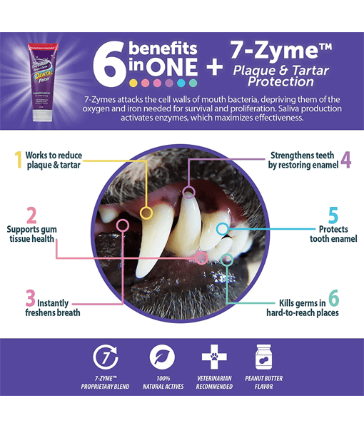 Synergy Labs - Dental Fresh, Enzymatic Gel Triflex Toothbrush Kit for Dogs - 6 Benefits In One