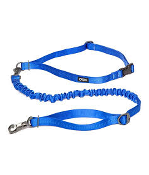 3-Piece Running Dog Leash & Collar