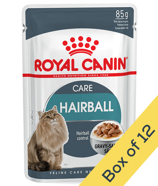 Hairball Formula Royal Canin Feline Hairball Care Cat Food Buy