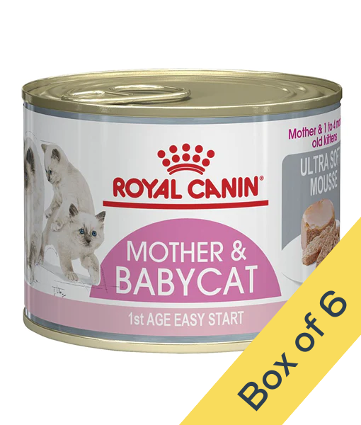 Royal Canin - Mother and Babycat Ultra Soft Mousse 195g Royal Canin