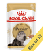Royal Canin Royal Canin Wet Cat Food Adult Persian 85g