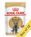 Royal Canin Wet Cat Food British Shorthair 85g Royal Canin