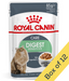Royal Canin Wet Cat Food Digest Sensitive Gravy 85 g Royal Canin