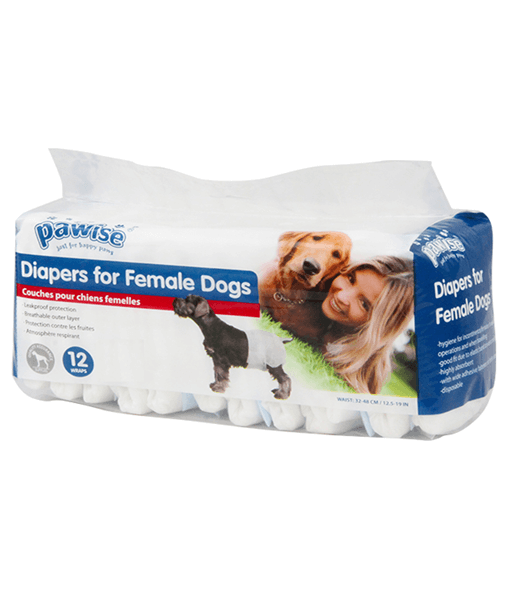 Dog nappies for old best sale dogs