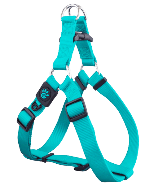 Doco - Signature Step-In Turquoise Dog Harness