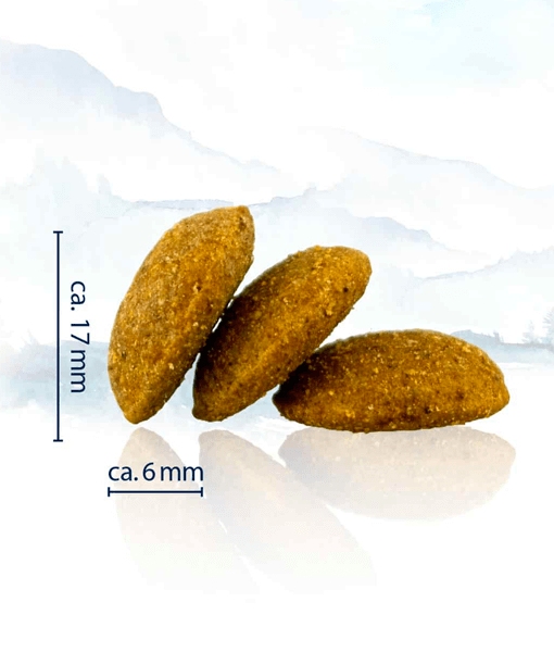 Calorie control discount dog food