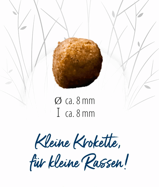 Happy Dog - Mini Adult 1kg-4kg