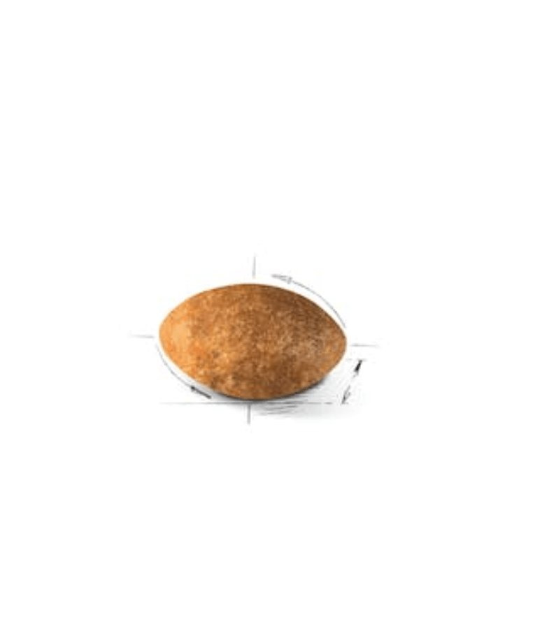 Royal Canin Persian Adult 2kg