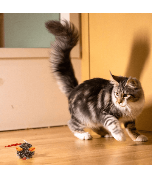 GiGwi Interactive Mouse Pet Droid motion activated