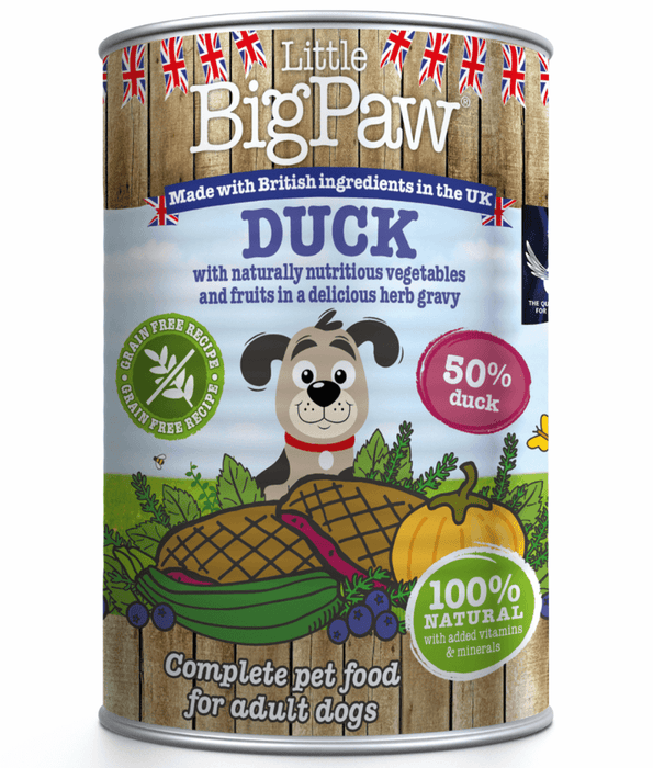 Big paw online dog food