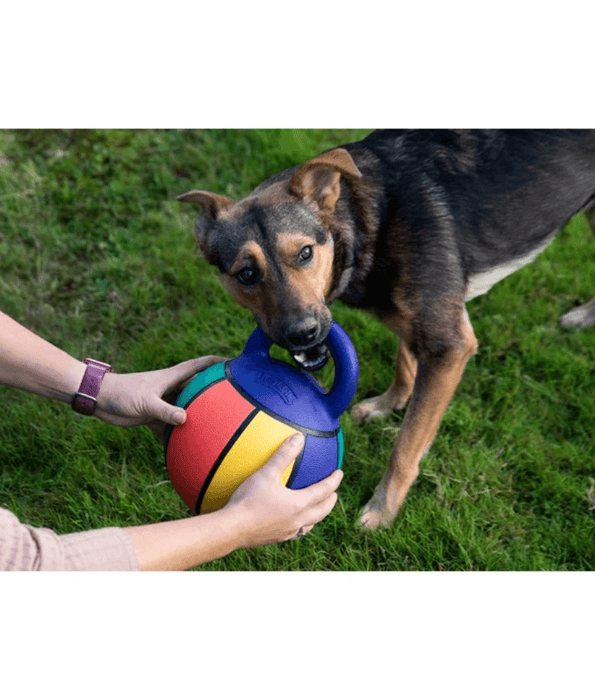 Gigwi Jumball Basketball With Rubber Handle Multi Colour Small 19.5 x 24 x 19.5 cm GiGwi