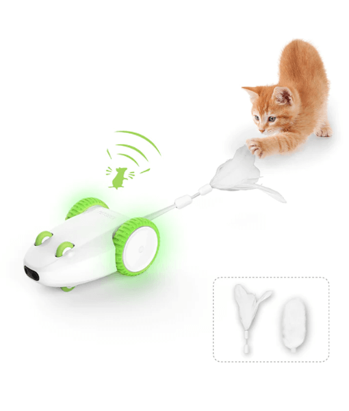 PetGeek Furious Mouse