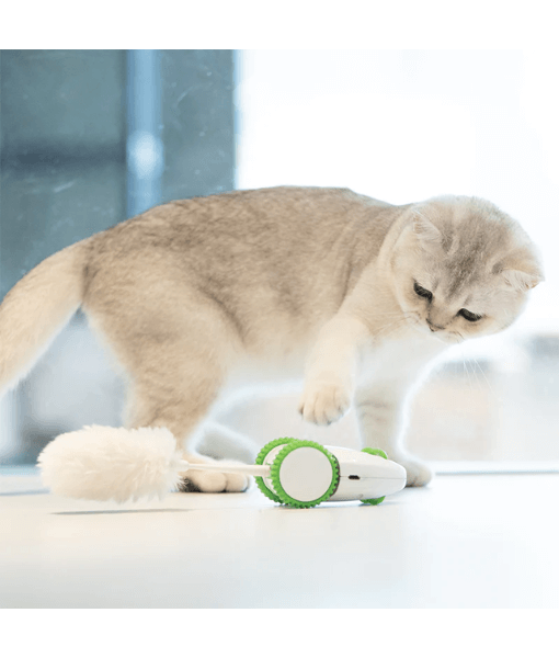 PetGeek Furious Mouse