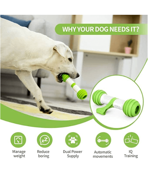 PetGeek Playbone