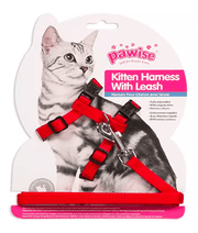 Pawise - Kitten Harness with Leash ( S - L )