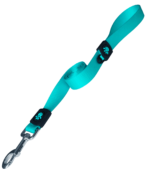 Doco - Turquoise Dog Leash