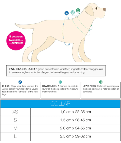 Max & Molly Smart ID Collar - Frenzy The Shark