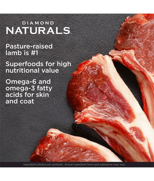 Diamond Natural - Small Breed Adult Lamb Dog 2kg