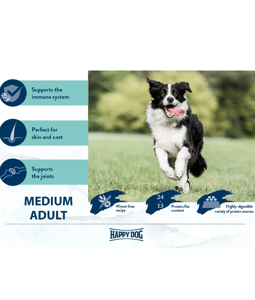 River run high 2024 protein dog food